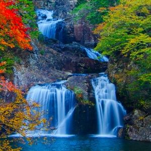 Meet your Posher, Tamika